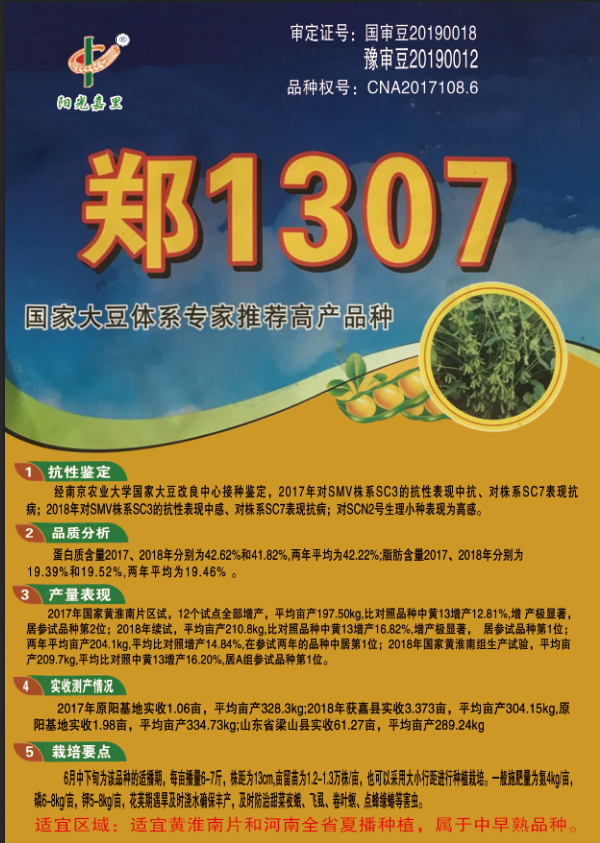 郑1307